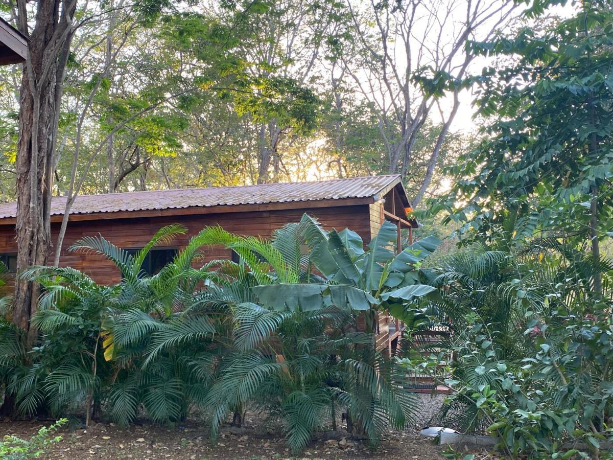 Casa Natural Brasilito Exterior photo