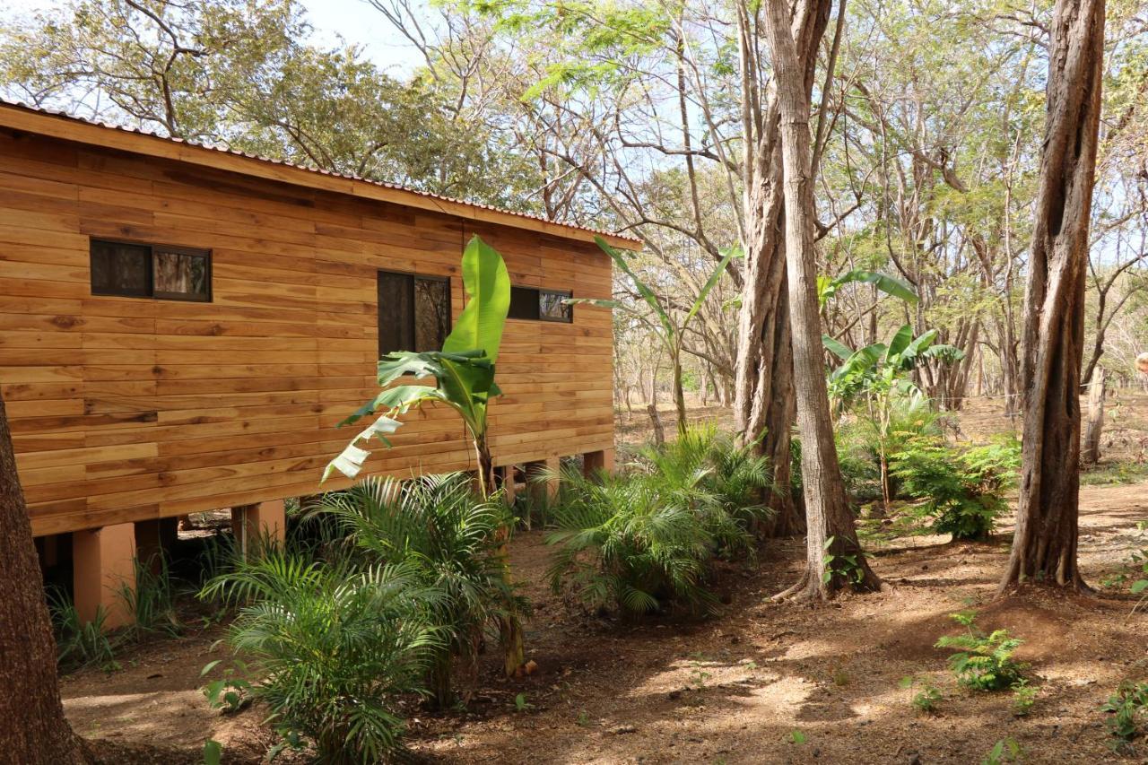 Casa Natural Brasilito Exterior photo
